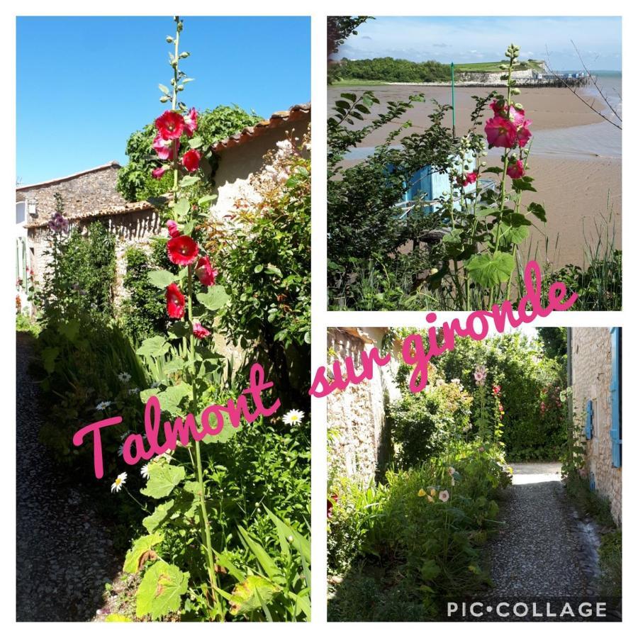 Gite " Les Tourterelles" Thaims Экстерьер фото